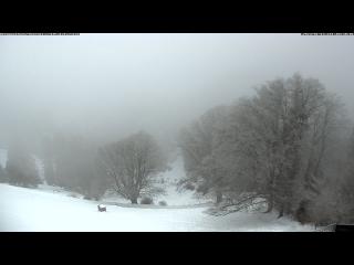 Wetter Webcam Steg im Tösstal Wetter Webcam Steg im Tösstal
