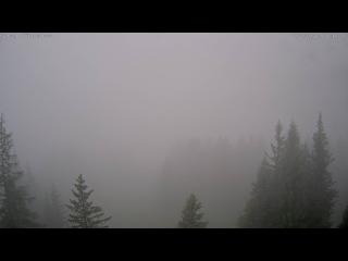 Wetter Webcam Vättis 