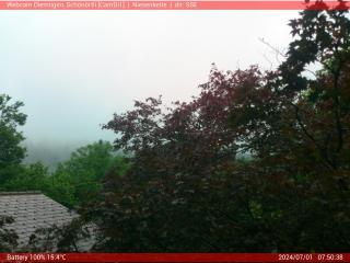 Wetter Webcam Diemtigen (Wiriehorn, Grimmialp, Naturpark Diemtigtal)