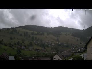 Wetter Webcam Todtnau 