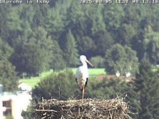 Wetter Webcam Isny im Allgäu 