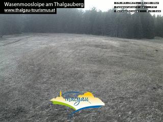 Wetter Webcam Thalgau 