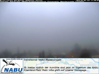 Wetter Webcam Hambach 