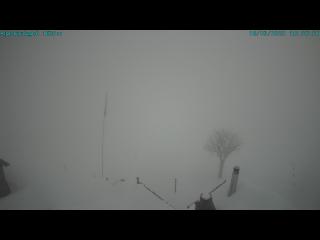 Wetter Webcam Vogorno 