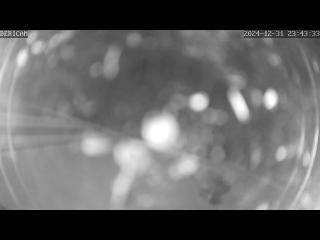 Wetter Webcam Grömitz Wetter Webcam Grömitz