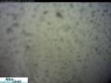 Wetter Webcam Schwägalp (Kronberg, Säntis) Wetter Webcam Schwägalp (Kronberg, Säntis)