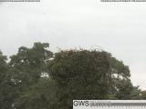 Wetter Webcam Hohenstein 