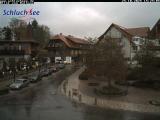 Wetter Webcam Schluchsee (Schwarzwald) Wetter Webcam Schluchsee (Schwarzwald)