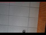 meteo Webcam Münsingen 