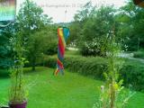 Wetter Webcam Lauda-Königshofen 