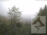 Wetter Webcam Wieting 